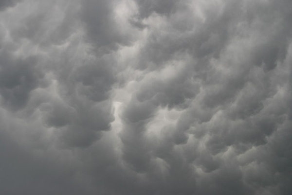 Eifelmammatus0507 028a.jpg
